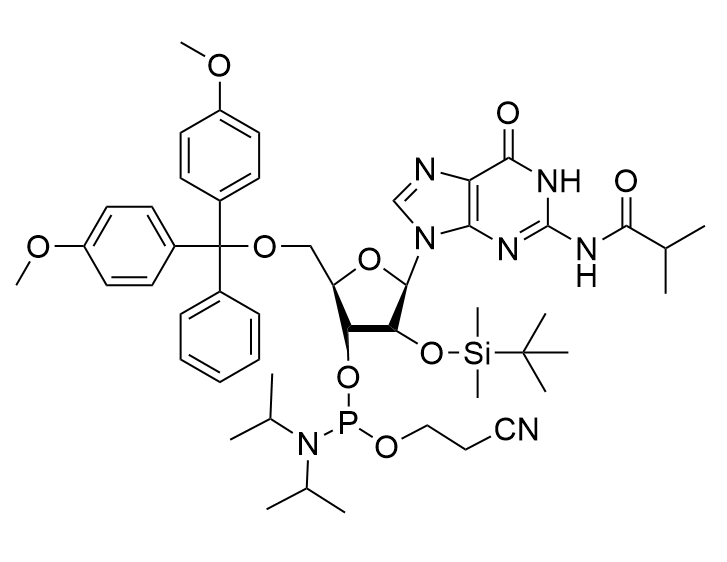 5'-DMT-2'-TBDMS-N2-ibu-rG 亚磷酰胺单体